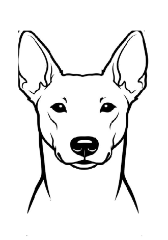 Dog face 10