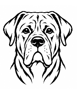 Dog face 12