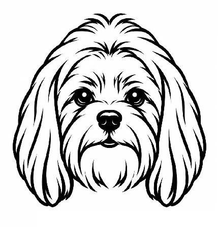 Dog face 14