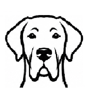 Dog face 4